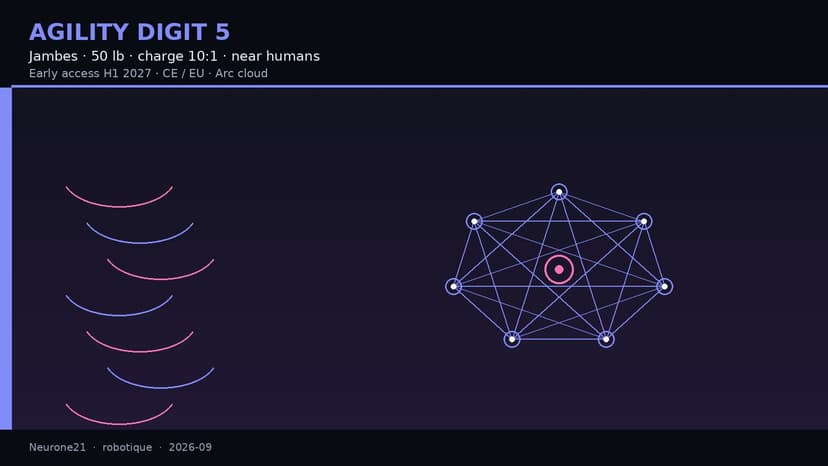 Agility Digit 5 : nouvelles jambes, charge 50 lb, charge 10:1 et travail près des humains