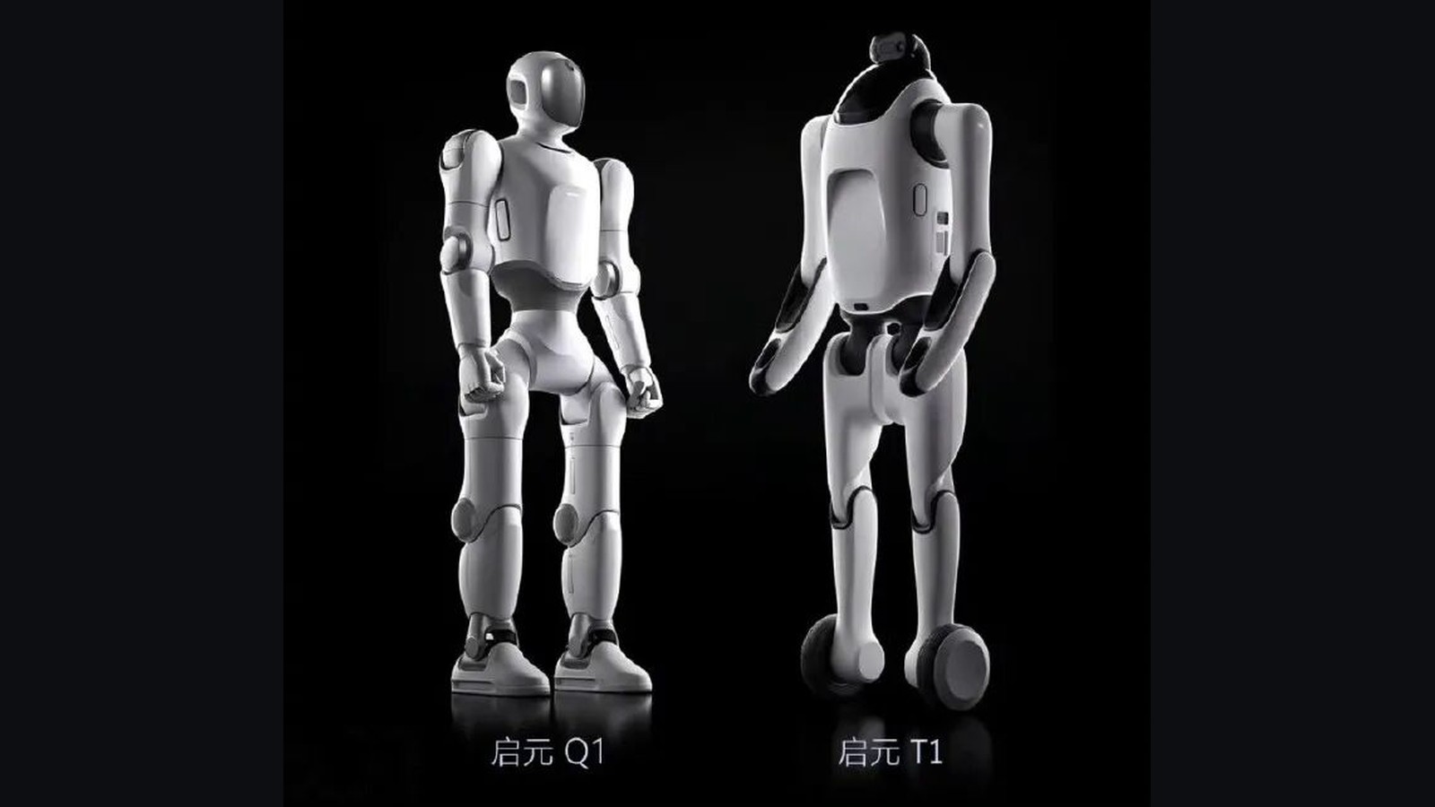 Qiyuan Q1 / T1 : custom perso, transformable, egg joint 260 g